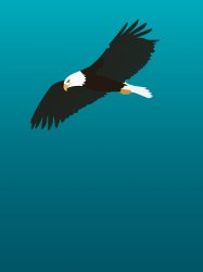 Flying eagle template Meme Template