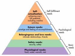Mazlow Hierarchy of Needs with Original Text Meme Template