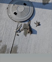 Dead frogs Meme Template