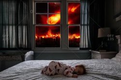 sleeping in chaos Meme Template