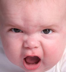 Angry Baby MAGA Trump infant Meme Template