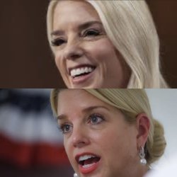 Pam bondi before After Meme Template