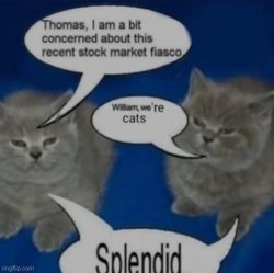 cats splendid Meme Template