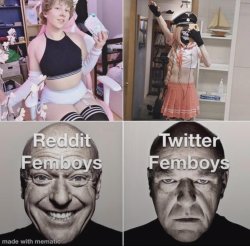 twitter vs reddit femboy ahh Meme Template