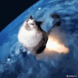 Rocket cat Meme Template
