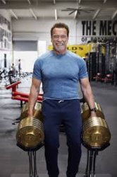Old Arnold gym Meme Template