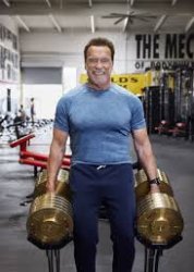 Old Arnold gym Meme Template
