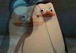 confused private blurred Meme Template