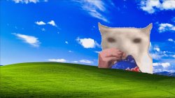Cat eating chip very real Meme Template