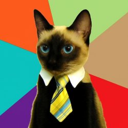 Siamese Office Cat Meme Template