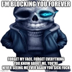 I'm blocking you forever (Sans) Meme Template