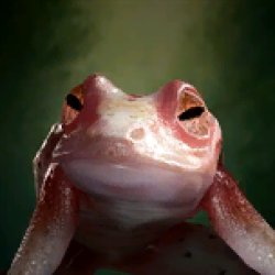 Addled Frog Meme Template