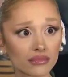 Ariana concerned Meme Template