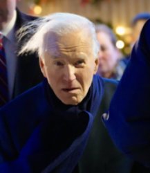 Biden hair Meme Template
