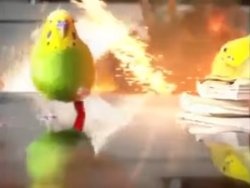Budgie running from explosion Meme Template