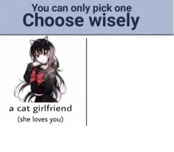 You can only pick one cat girlfriend Meme Template