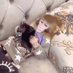 Monkey Playing Games Meme Template