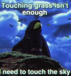 Touching grass isn't enough, I need to touch the sky Meme Template