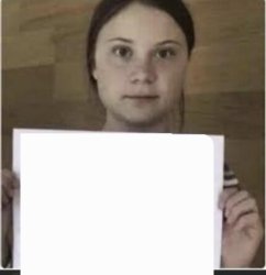 Grumpy Greta Thunberg Meme Template
