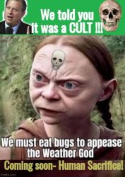 It's a Cult Greta Thunberg Meme Template