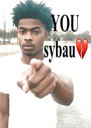 YOU sybau Meme Template