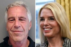 Jeffrey Epstein Pam Bondi 2008 plea deal Meme Template