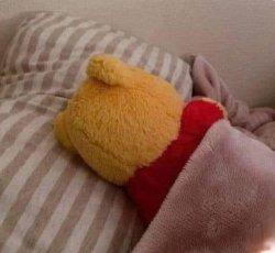 Winnie-the-Pooh sleeping Meme Template