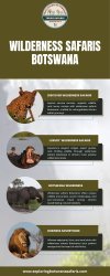 Wilderness Safaris Botswana Meme Template