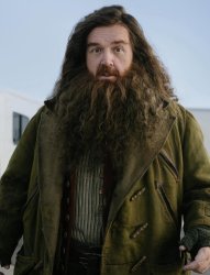 Nick Frost Hagrid (TV Series) Meme Template