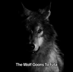 The wolf goons to Futa Meme Template