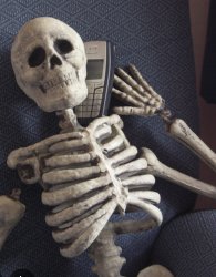Skeleton phone Meme Template