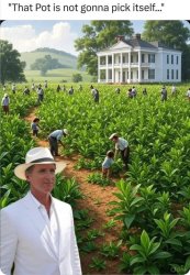 Gavin Newsom Pot Farmer Meme Template