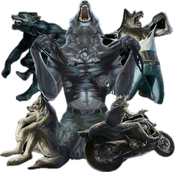Wolfpack Meme Template