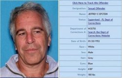 Epstein jail booking Meme Template