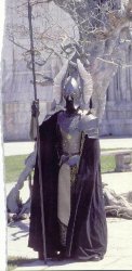 Guard of the Fountain (Gondor) Meme Template