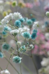 Spring wedding flowers Meme Template