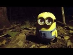 minion staring Meme Template