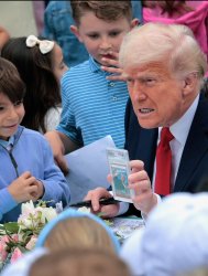 Cards Trump Meme Template
