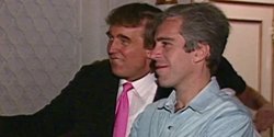 trump and Epstein Meme Template