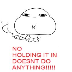 NO holding it in doesnt do anything Meme Template