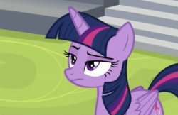 Unamused Twilight Sparkle Meme Template