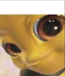 Bee looking Meme Template