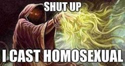 I cast homosexual Meme Template