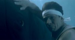 Spock Whale Meme Template