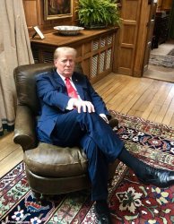 Trump  beta male Meme Template