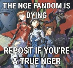 The NGE fandom is dying, repost if you're a true NGER Meme Template