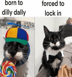Born to dilly dally, forced to lock in Meme Template