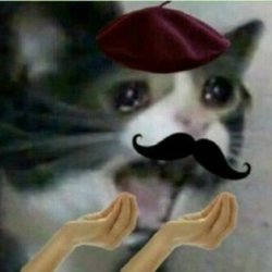 crying french cat Meme Template