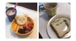 Bear bread breakfast Meme Template