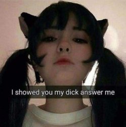 i showed you my dick answer me Meme Template
